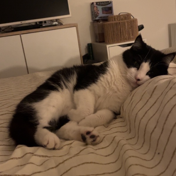 Poufsouffle