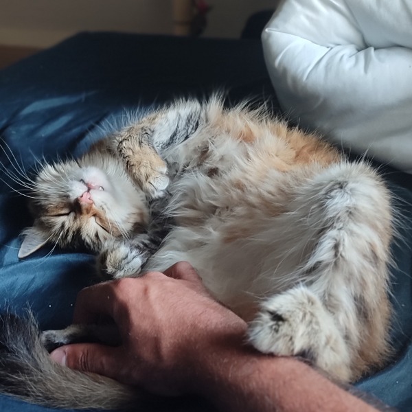 Luna