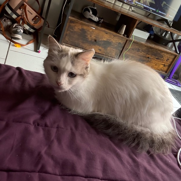 Nala