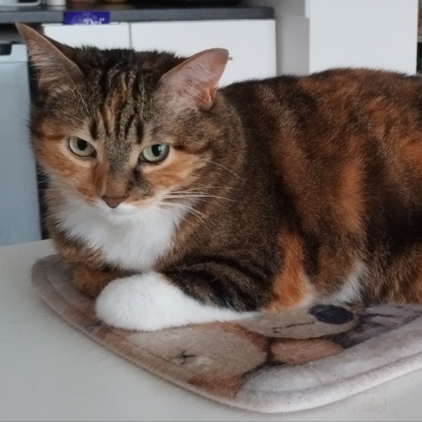 Lilou