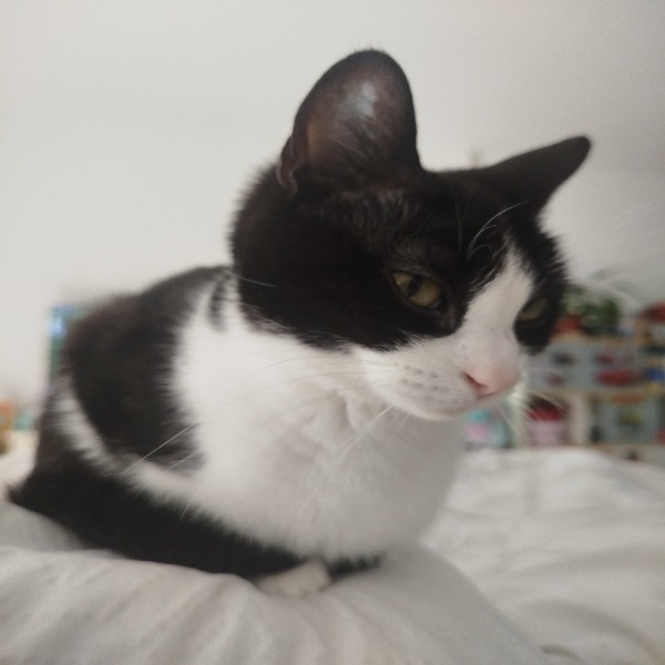 Artemis
