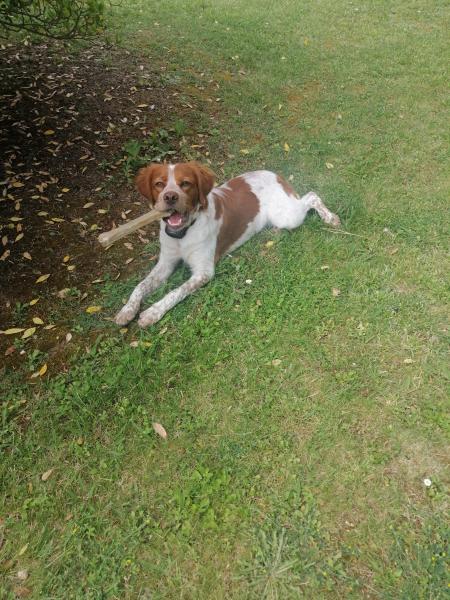 Ralf