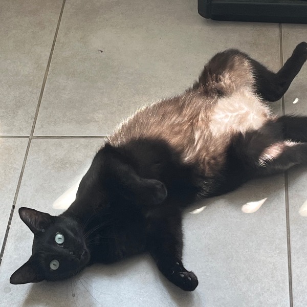Luna