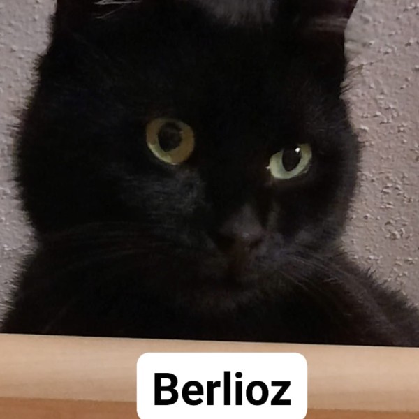 Berlioz