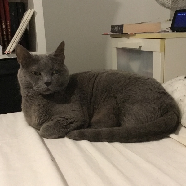 Missy