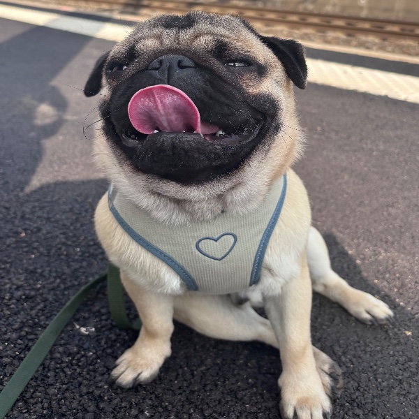 Carlos