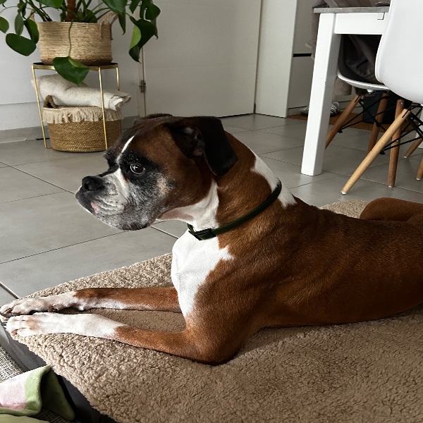 Benny