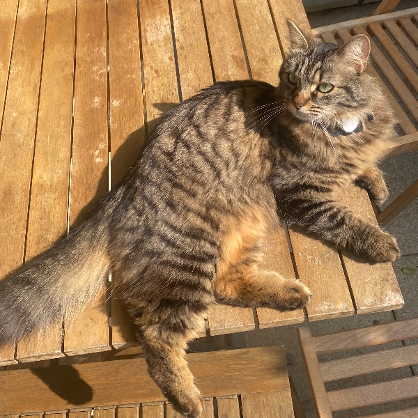 Tina