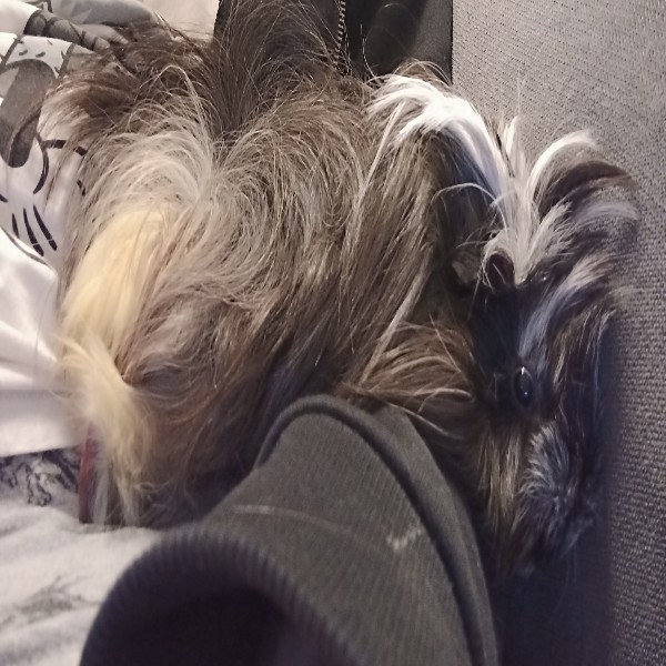 Bunty