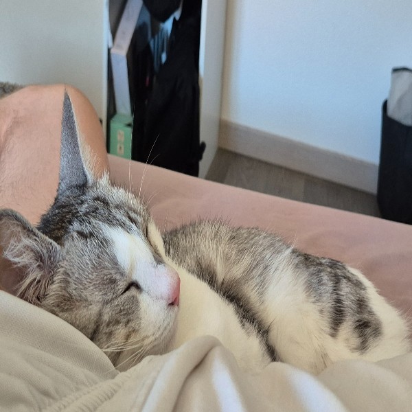Titou