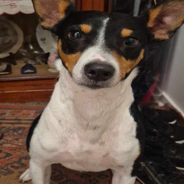 SAM
