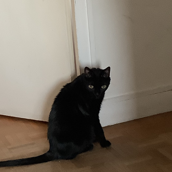 Coco