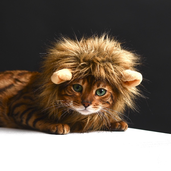 Simba