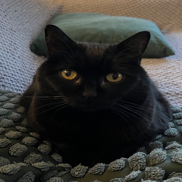 Luna