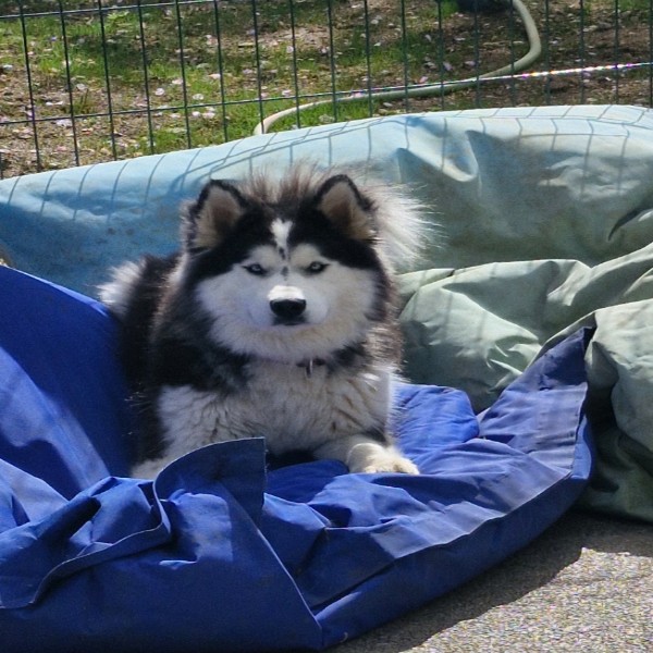 Tina