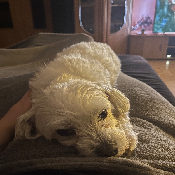 Floky