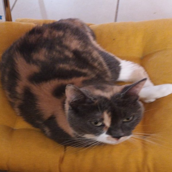 Nina