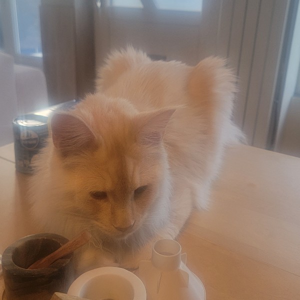 Yuki