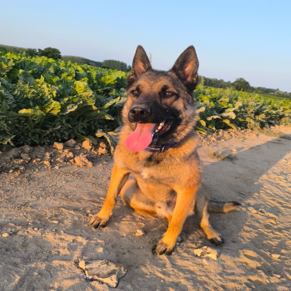 Hadès