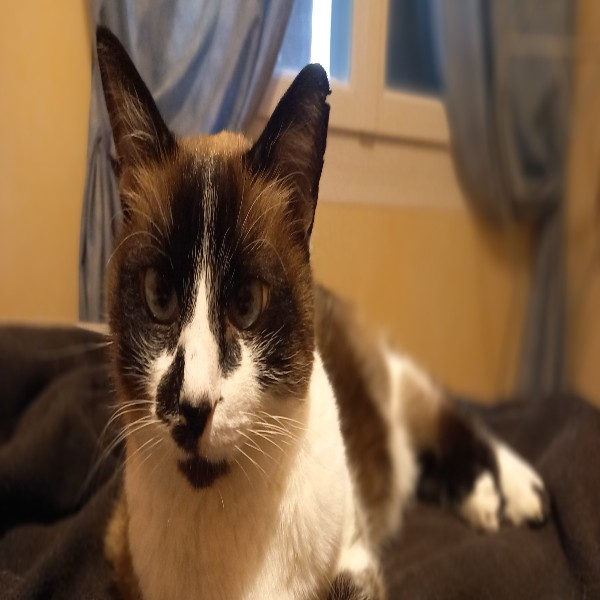 Lilou