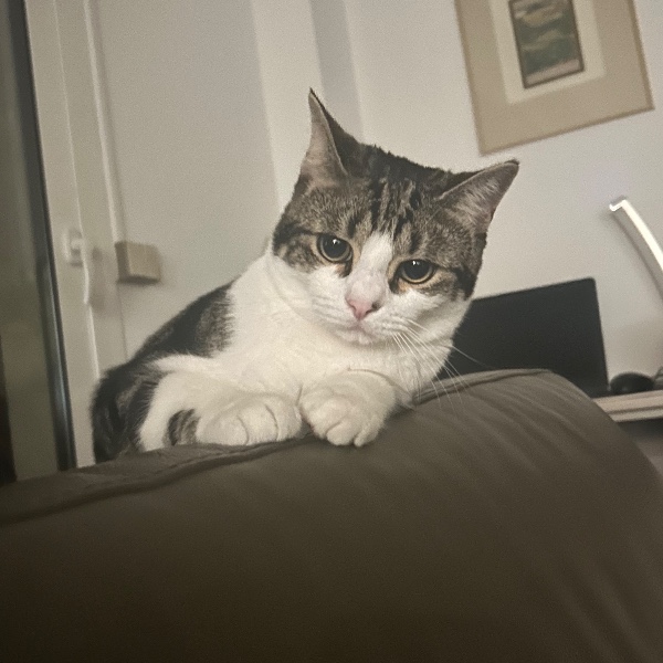 Vinnie