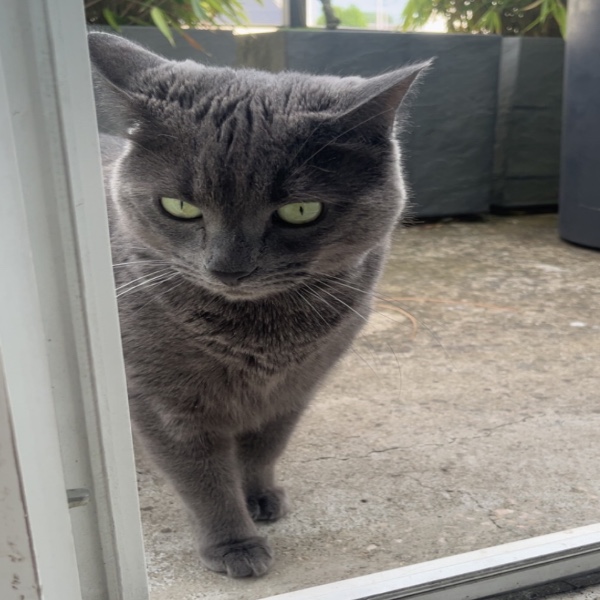Suzie