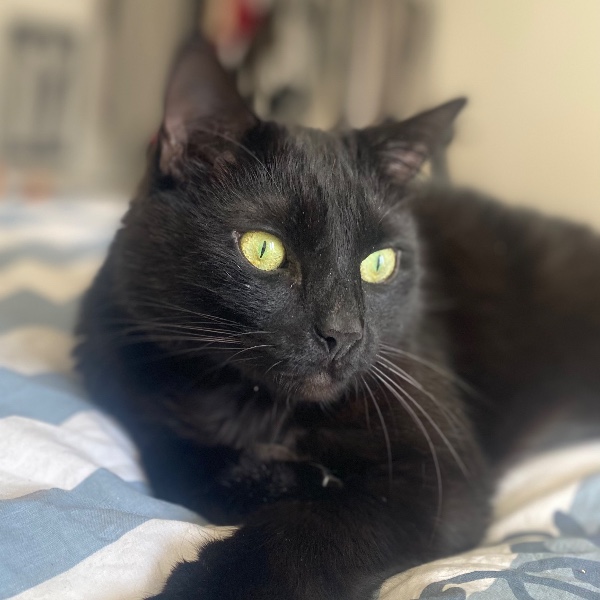 Mushu
