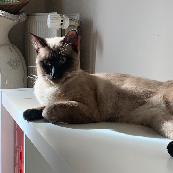 Léo