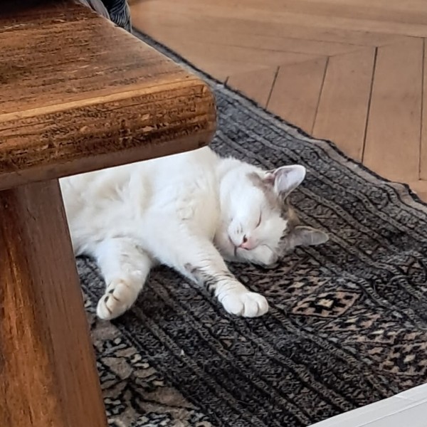 Yuki