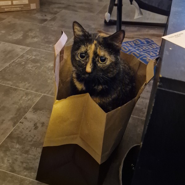 Nala