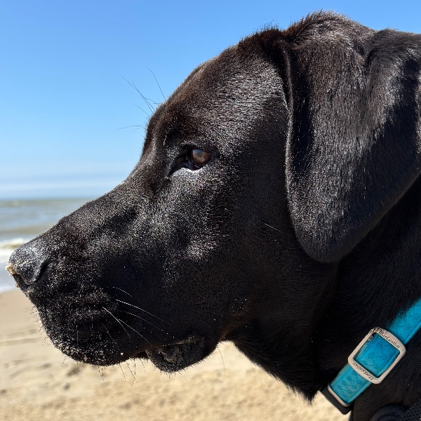 Athos