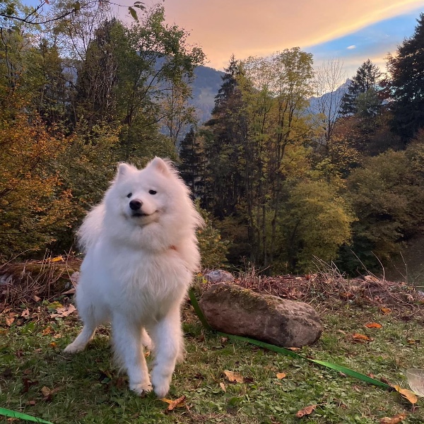 Fluffy
