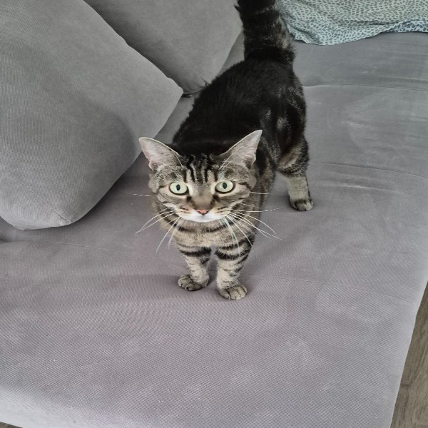 Charlie