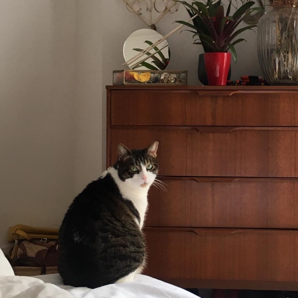Mimi
