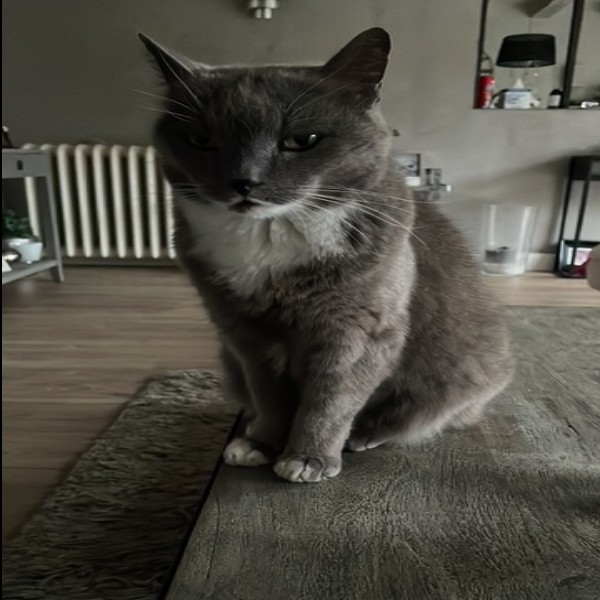 LILI