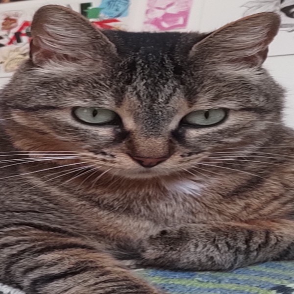 Toundra