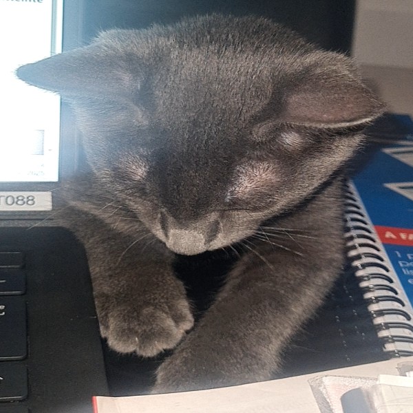 Nala