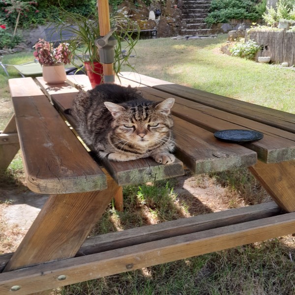 Tigrou
