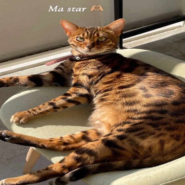 Xena