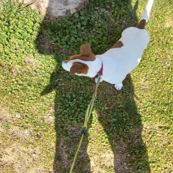 Jack