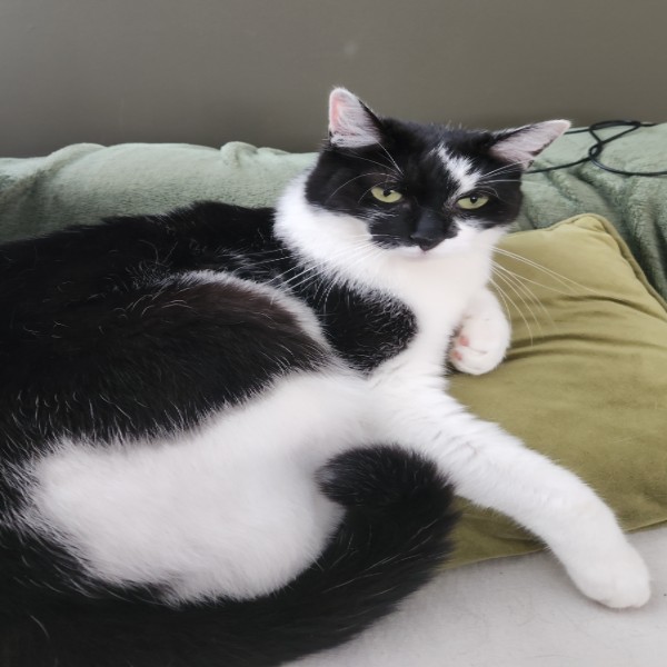 Nalla