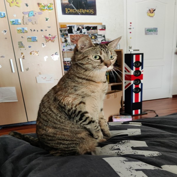 Mixie