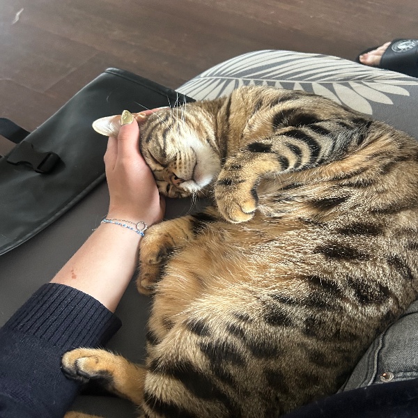Zoya