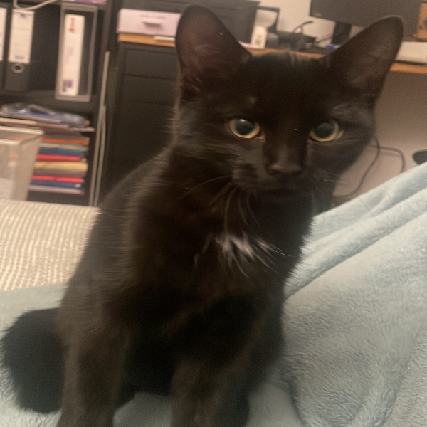 Coco