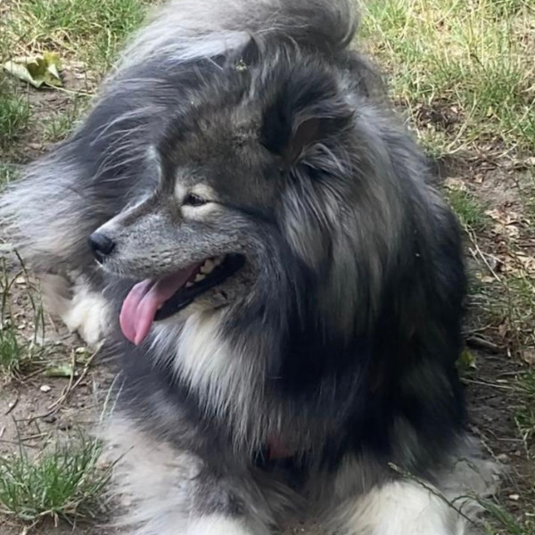 Kiara