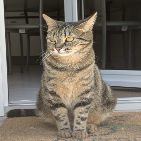 Peanut