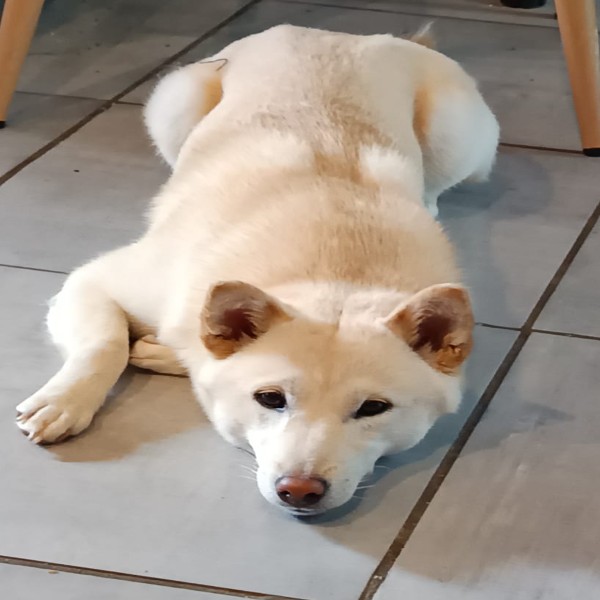 Yuki