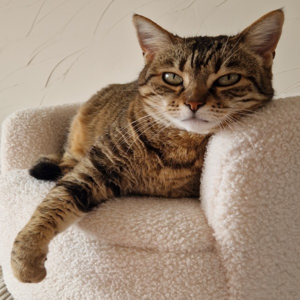 Lucie
