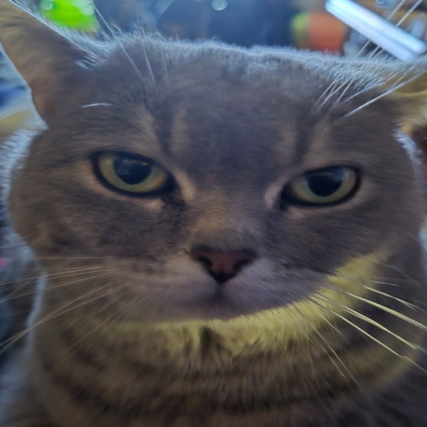 Michka