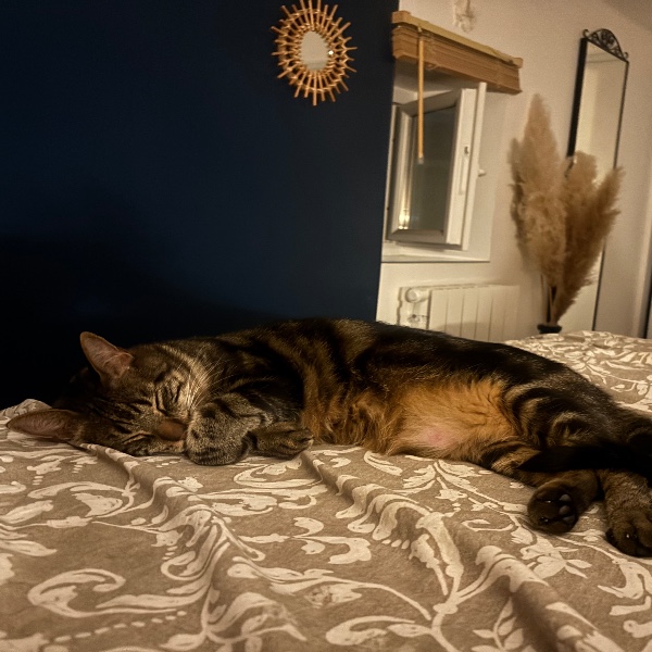 Simba